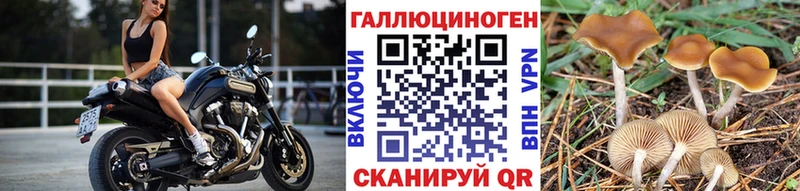 цена наркотик  Кадников  Галлюциногенные грибы Psilocybine cubensis 
